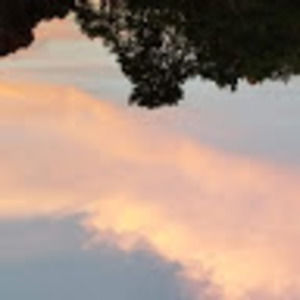 Meet your Posher, Jules